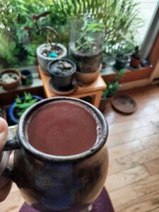 close up of a cup of cacao with several potted plants in the background